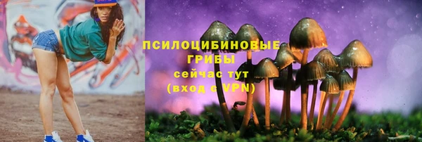 mix Арсеньев