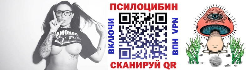 что такое   Красный Холм  MEGA как войти  Псилоцибиновые грибы мухоморы 
